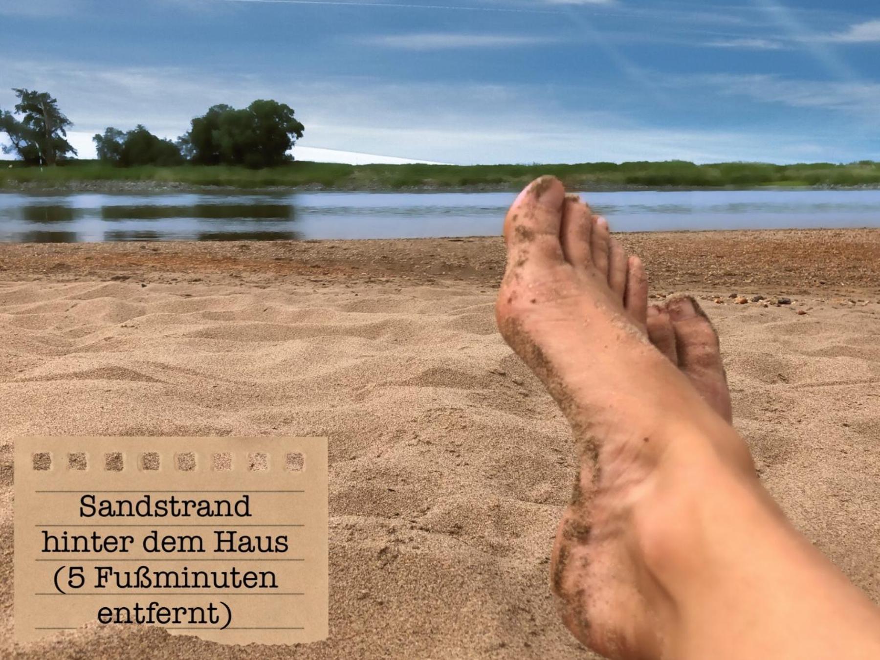 Alte Schule Wittenberg, 3 Ferienwohnungen Fuer Bis Zu 12 Personen, An Der Elbe, Mit Garten Kültér fotó