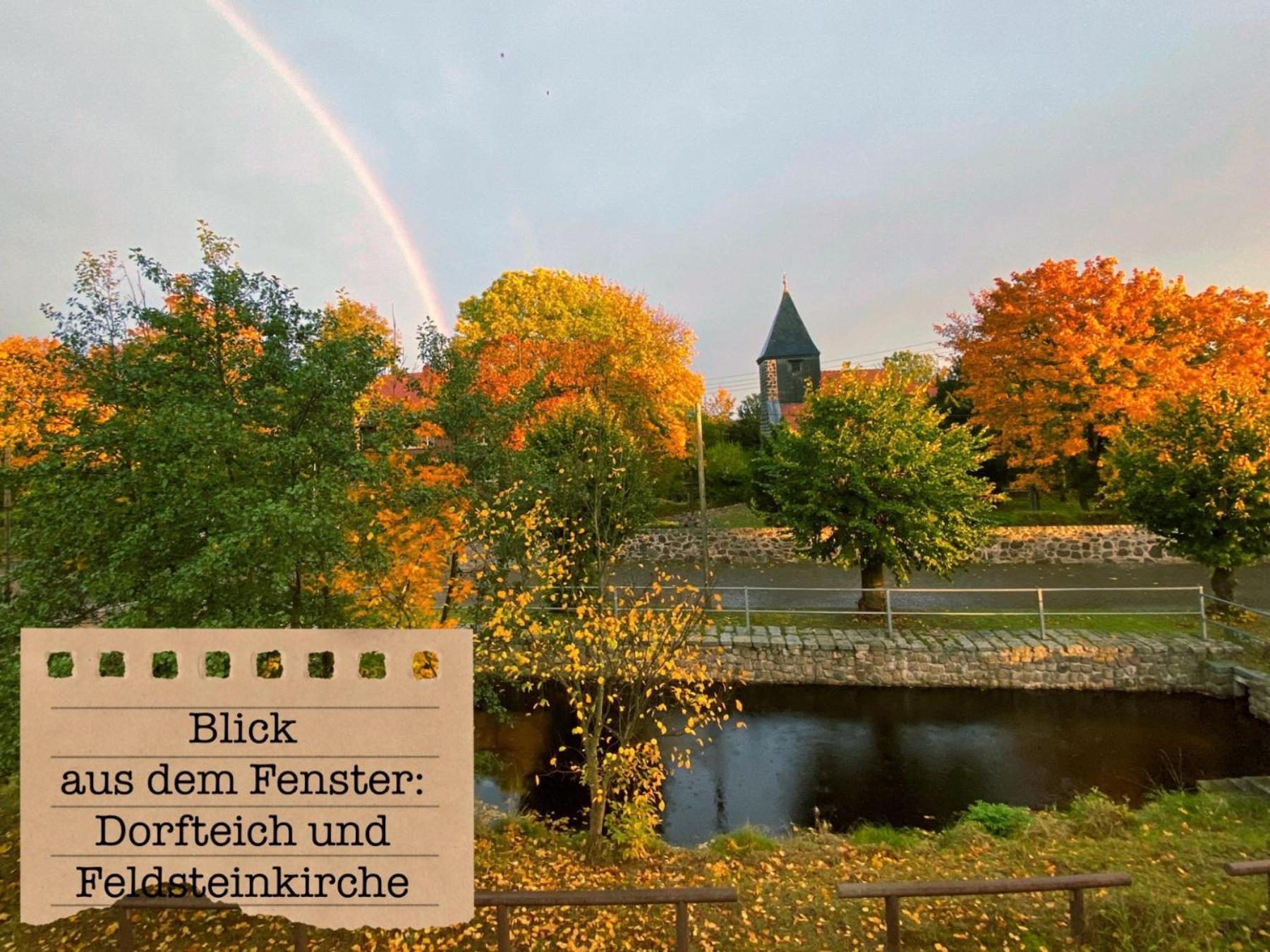 Alte Schule Wittenberg, 3 Ferienwohnungen Fuer Bis Zu 12 Personen, An Der Elbe, Mit Garten Kültér fotó