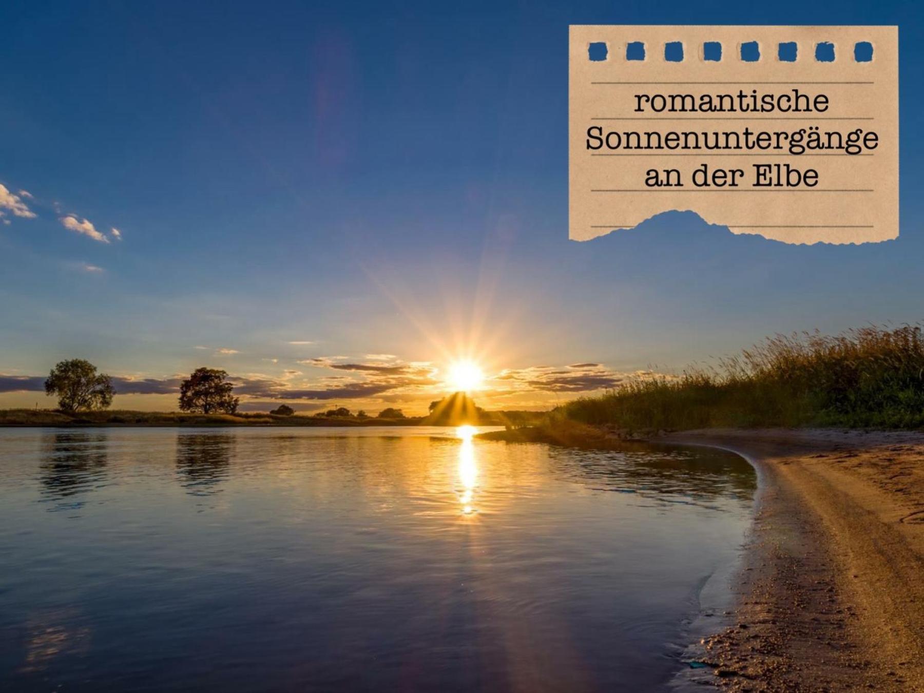 Alte Schule Wittenberg, 3 Ferienwohnungen Fuer Bis Zu 12 Personen, An Der Elbe, Mit Garten Kültér fotó